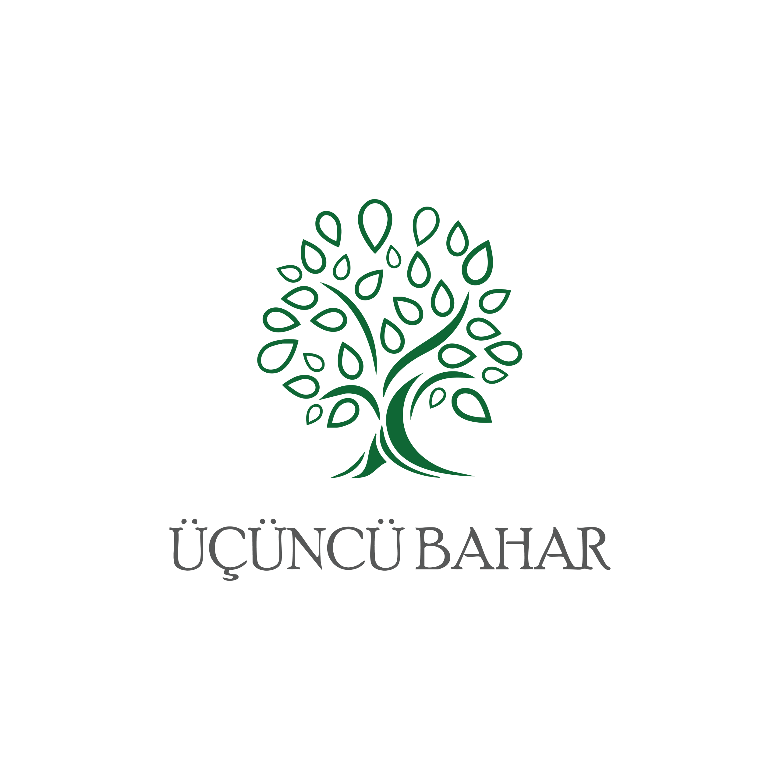 üçüncü bahar-01